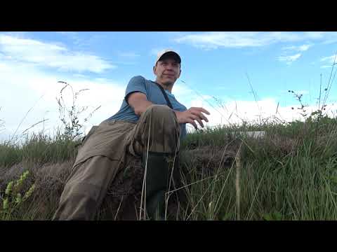 Видео: Рыбалка на р. Кан