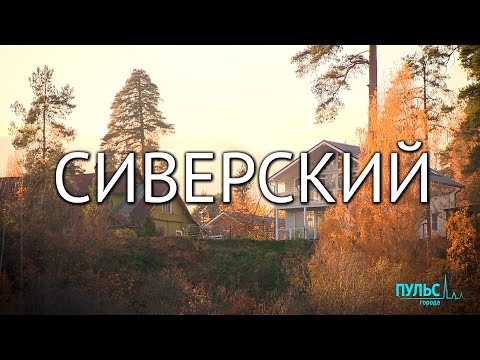 Видео: Путешествие за вдохновением. Сиверский