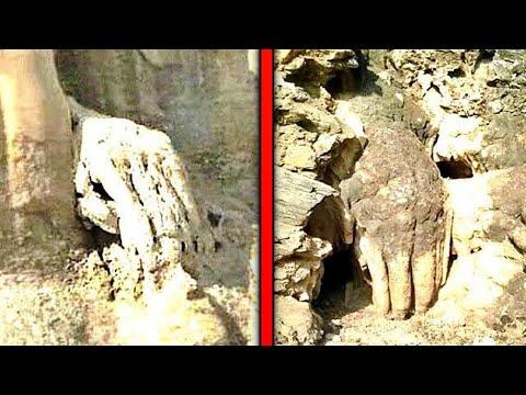 Видео: Открытие Большого Каньона, наводящего ужас на весь мир