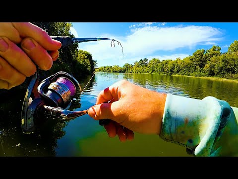 Видео: РАЗНАЯ РЫБА КЛЮЕТ НА ВСЕ И ВЕЗДЕ! Рыбалка на реке на спиннинг осенью!