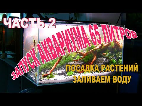 Видео: Запуск 65 л. аквариума со светильником COLLAR. Часть 2. Посадка растений. Заливаем воду.