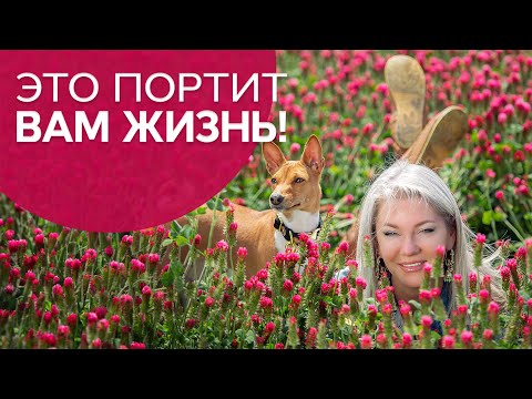 Видео: Это вам портит жизнь. 3 убеждения, которые портят жизнь /Наталия Вайксельбаумер