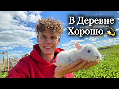 Видео: Мое любимое занятие в Деревне / Кролики плодятся / Новый помощник на хозяйстве / Теплица засажена 🌱