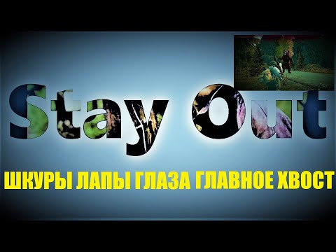 Видео: ⭐Stay Out⭐Сталкер-Онлайн👍 Шкуры , лапы , усы, главное хвост . Все что , нам надо .