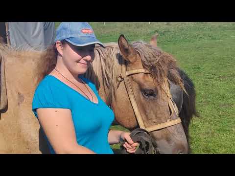 Видео: Сейчас будем кататься на лошадках