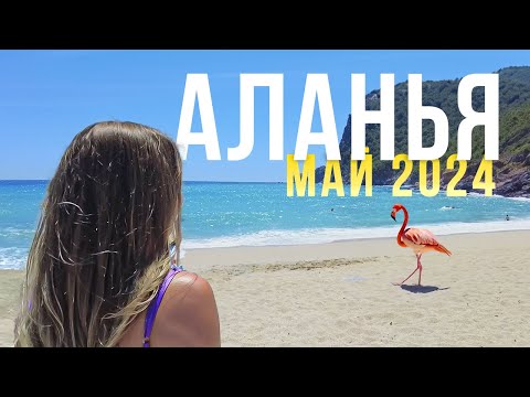 Видео: ✅️ ГУЛЯЕМ ПО АЛАНИИ | ТУРЦИЯ МАЙ 2024 | Клеопатра , Махмутлар