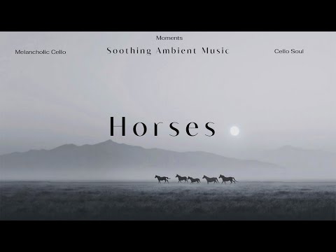Видео: Cello Soulful Serenade - Дикие лошади в тумане | Эмоциональная виолончельная музыка для снов
