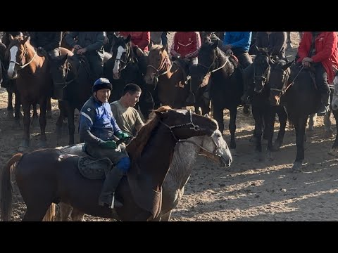 Видео: Ноокен сакалды Аламан улак экинчи болук