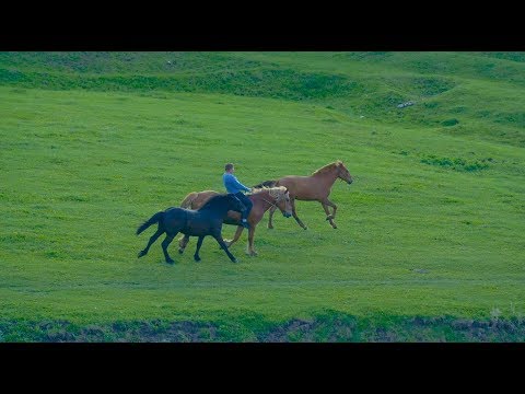 Видео: Илдус Шайдуллин | клип 1080p FullHD