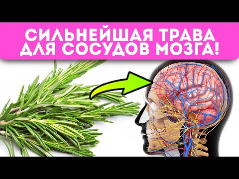 Видео: Даже пара веточек розмарина запускает в организме необратимые процессы! Суставы, ЖКТ, сосуды…