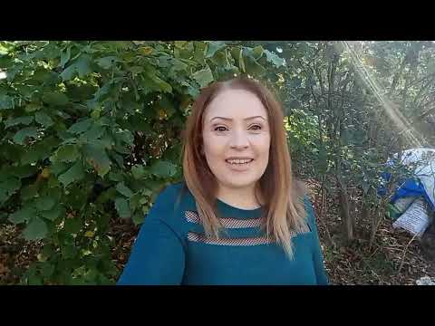 Видео: ЗАПРАВКА  ДЛЯ  БОРЩА  НА  ЗИМУ /РЕЦЕПТ  КОТОРЫЙ  ПРИГОДИТСЯ  КАЖДОМУ