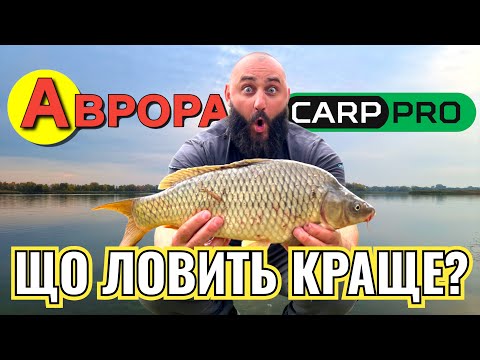 Видео: Аврора vs Flagman😱 Хто кого?!😈