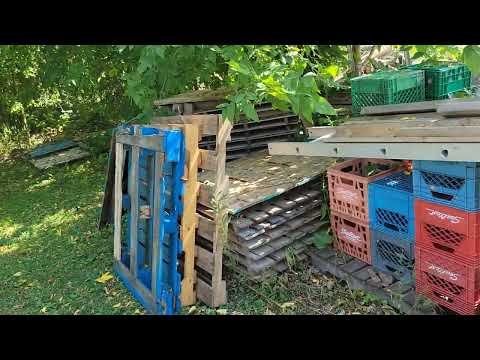 Видео: Нержавеющий пробег!