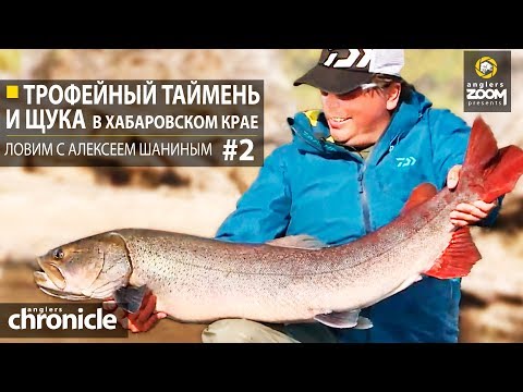 Видео: Трофейный таймень и щука в Хабаровском крае. Ловим с Алексеем Шаниным. Часть 2. Anglers Chronicle
