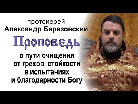 Видео: Об очищении от грехов и стойкости в испытаниях (2021.12.02). Прот. Александр Березовский