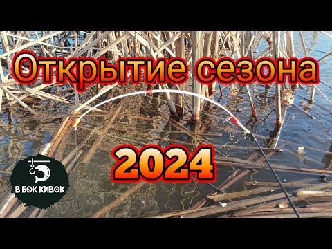 Видео: БЕШЕНЫЙ КЛЁВ КАРПА!!!! ОТКРЫТИЕ СЕЗОНА 2024 ПО БОКОВОМУ КИВКУ.