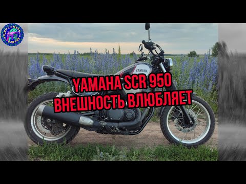 Видео: Yamaha SCR 950 СКРЕМБЛЕР С ХАРАКТЕРОМ(и он продается)