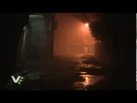 Видео: Туманное утро во Вриндаване