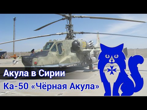 Видео: Ка-50 "Чёрная Акула" - Акула в Сирии (DCS World Stream) | WaffenCat