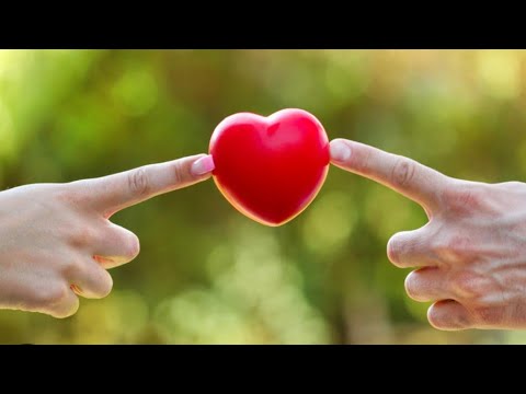 Видео: В фокусе - отношения в семье!