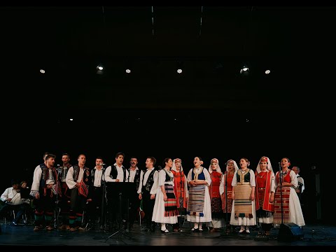 Видео: Ансамбл ВИЛА - Сватовац из Бачке (Одби се грана од јоргована)