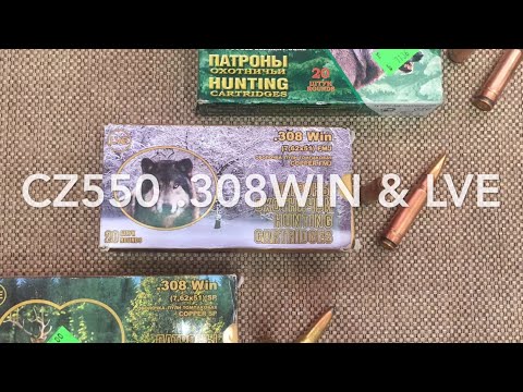 Видео: CZ550 .308win и lVE Новосибирские патроны. Отстрел.