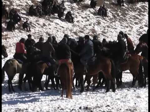 Видео: Бузкаши  Панчакент  6