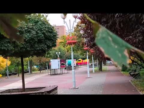 Видео: Як знімає MOTOROLA EDGE 50 NEO. Чи все так КРУТО як на папері?! 🤔