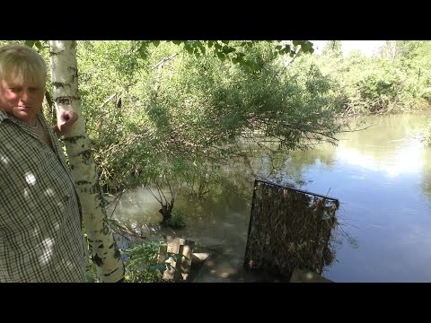 Видео: Пасека на связи #12 запустили ГЭС