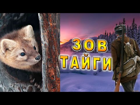 Видео: /Последняя Охота/Таёжная История/