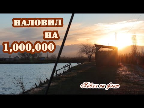 Видео: Наловил САЗАНОВ на 1 МЛН+. Флэт фидер зимой. #рыбалка2022 #пруды #узбекистан
