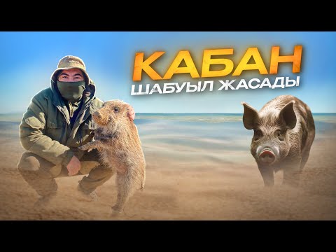 Видео: ҚАБАН шабуыл жасады😱 / САЗАН көөөп саласын аласын! / ТЕҢІЗ жағасында БЕШБАРМАҚ ( 3- ші бөлім )