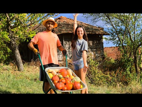 Видео: ЕСЕН НА СЕЛО: Прибираме реколтата и се подготвяме за зимата | Живот на село | Boho Soulz