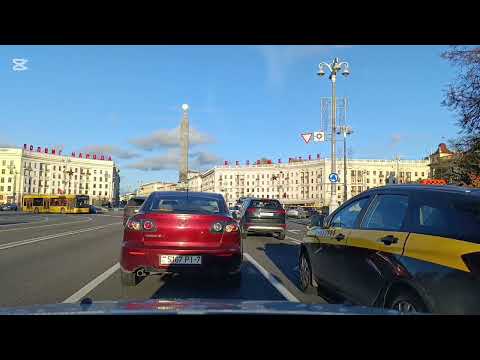 Видео: Беларусь | Купили саженцы | Гирлянда | Садовод приехал 