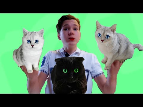 Видео: НЕ БОЙТЕСЬ, Кошечки!  Это ДЕЛАЮТ все ЖЕНЩИНЫ на СВЕТЕ!!!