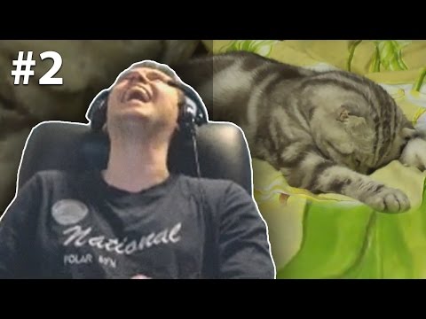 Видео: ПАПИЧ СМОТРИТ ВИДОСИКИ | ЧАСТЬ 2