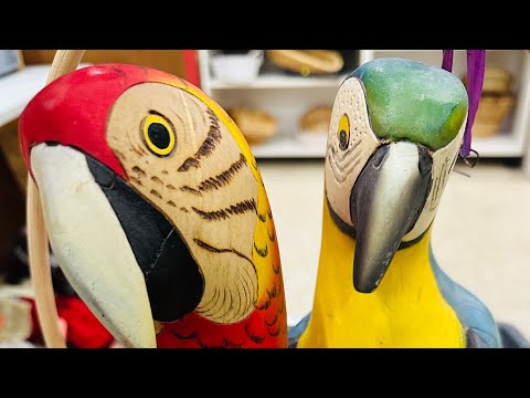 Видео: РЕДКОСТЬ ЗА КОПЕЙКИ! СМОТРИТЕ, ЧТО УДАЛОСЬ УРВАТЬ.