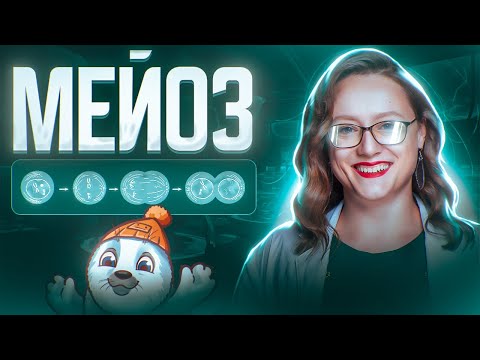 Видео: Мейоз | ЕГЭ по биологии 2025
