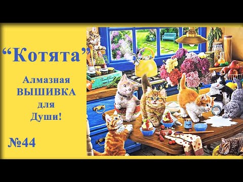 Видео: #44  "Котята" Алмазная ВЫШИВКА для Души!