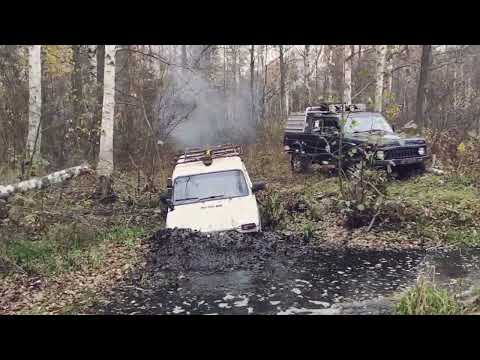 Видео: 2022 Леса Орехово-Зуево, поиск тайников