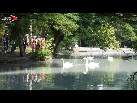 Видео: Центральный парк I История в кадре