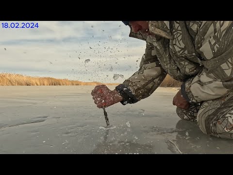 Видео: Зиг-зак. Киш...