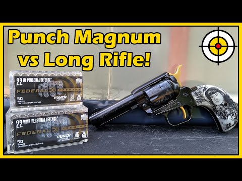 Видео: Соперничество братьев и сестёр! НОВИНКА: Federal PUNCH .22 Magnum против Long Rifle, тест на балл...