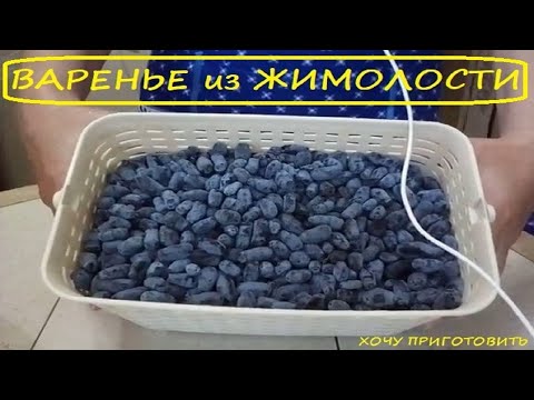 Видео: Варенье из Жимолости. Необыкновенно вкусное. Пальчики оближешь.