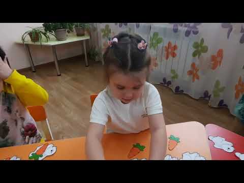 Видео: Средняя группа "Ботақан  Тема: " Порядковый счёт от 1-5"