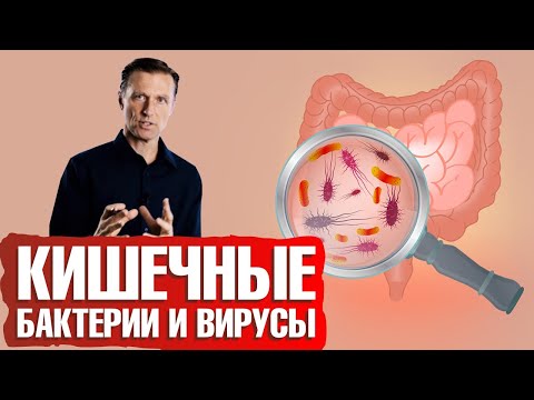 Видео: Микробиом кишечника. Зачем полезные бактерии нужны вашему кишечнику.