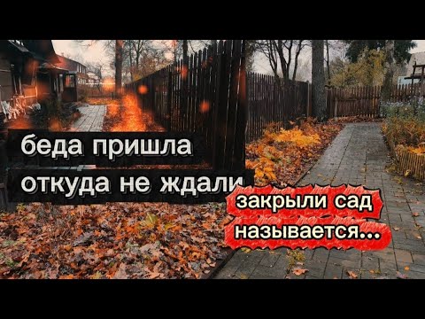 Видео: Зимовка хост под листьями. Последний день в домике 😳