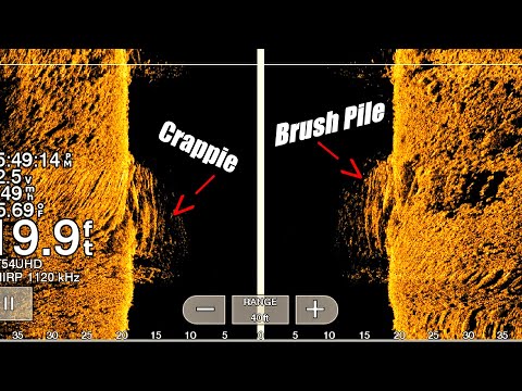 Видео: Как использовать боковую визуализацию для поиска краппи