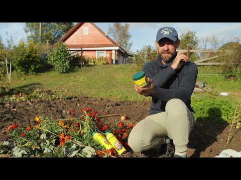 Видео: Поспешите сделать эти работы до холодов. Осенние хлопоты.