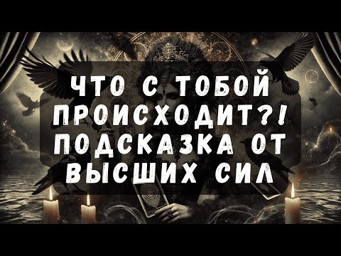 Видео: Что Происходит с Тобой: Подсказка от Высших Сил  #таро #тароонлайн